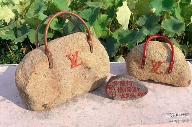 【折疊屏手機(jī)里的春夏秋冬】夏末賞荷