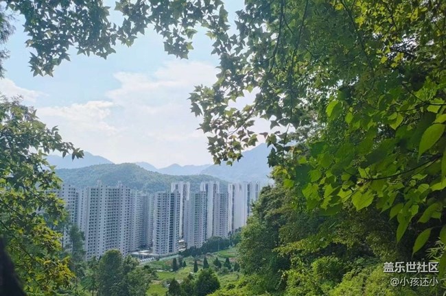 【折疊屏手機里的春夏秋冬】大自然