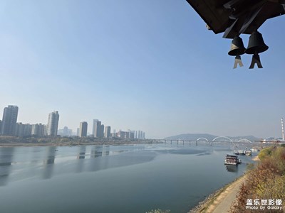 【鏡頭里的故事】湘江邊的治愈慢時光?