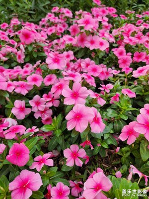 【鏡頭里的故事】都是回憶