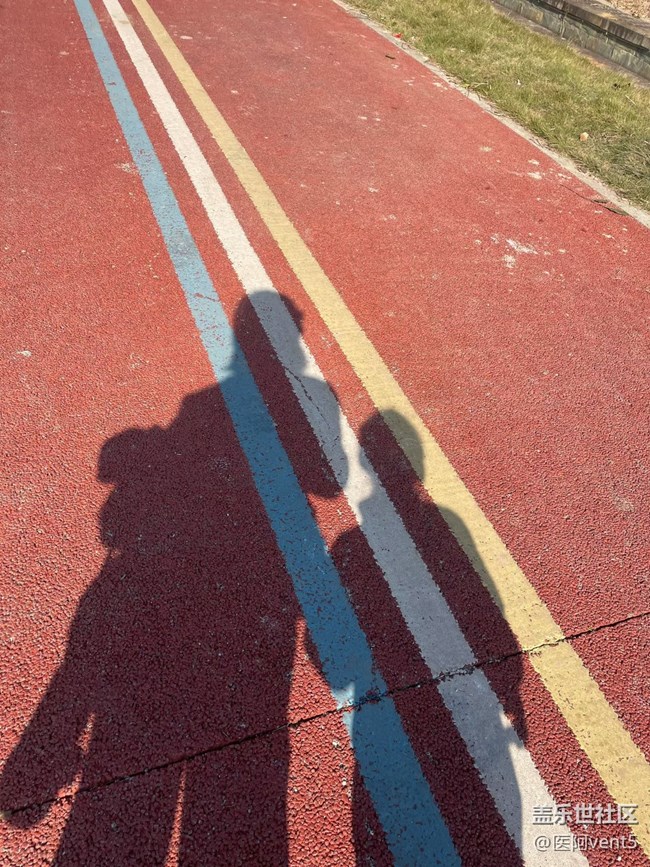 【折疊屏手機里的春夏秋冬】溫暖午后