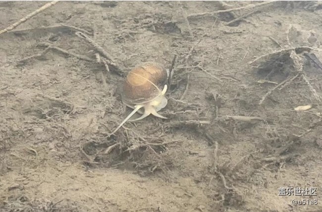 【折疊屏手機(jī)里的春夏秋冬】插秧忙