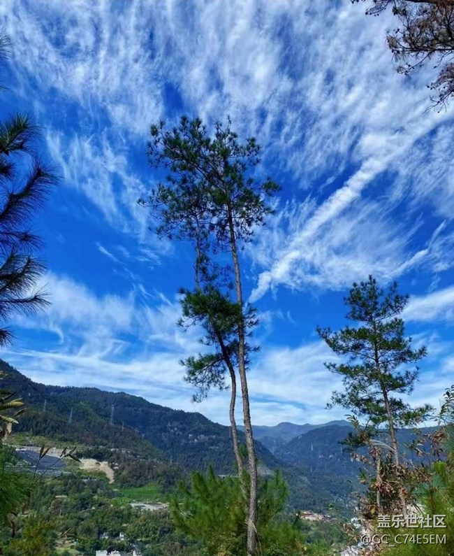 【折疊屏手機(jī)里的春夏秋冬】新冬風(fēng)景
