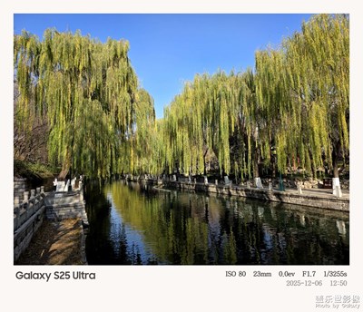 【鏡頭里的故事】+冬日隨拍