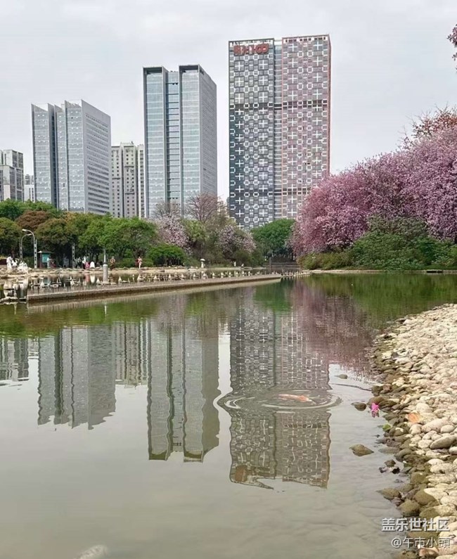 【折疊屏手機(jī)里的春夏秋冬】等花開