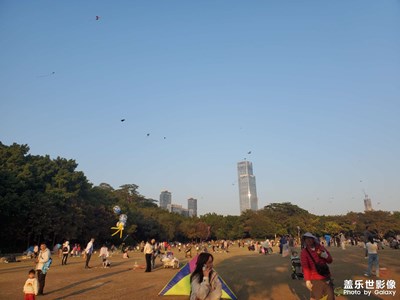 【鏡頭里的故事】公園