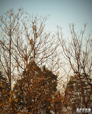 為什么要起標(biāo)題呢呢呢呢