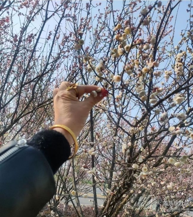 【折疊屏手機(jī)里的春夏秋冬】春季感悟