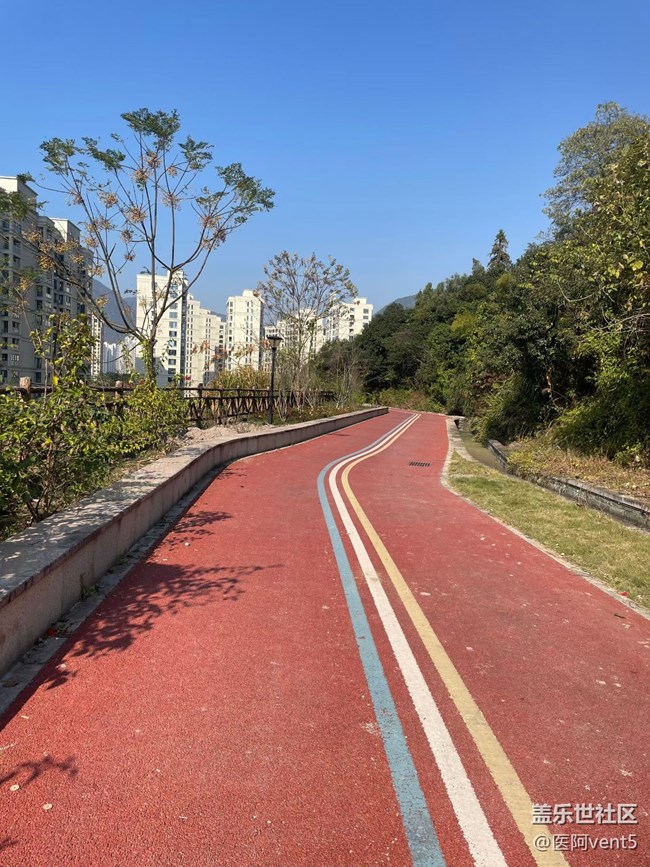 【折疊屏手機里的春夏秋冬】溫暖午后