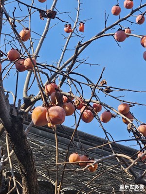 【鏡頭里的故事】翰林宅第