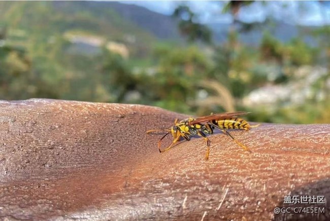 【折疊屏手機(jī)里的春夏秋冬】新冬風(fēng)景