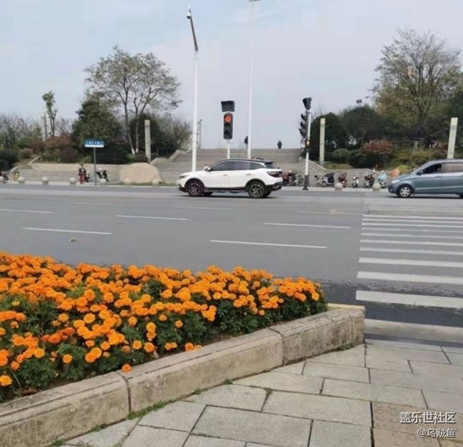 【折疊屏手機(jī)里的春夏秋冬】秋天你好