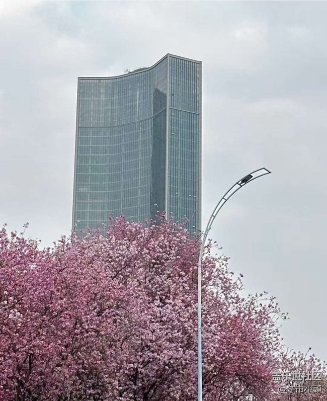 【折疊屏手機(jī)里的春夏秋冬】等花開