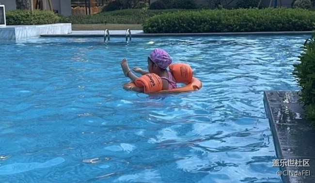 【折疊屏手機(jī)里的春夏秋冬】戲水