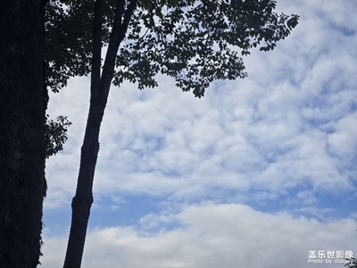 【鏡頭里的故事】回憶錄