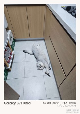 【鏡頭里的故事】關(guān)于信任的N種表達(dá)