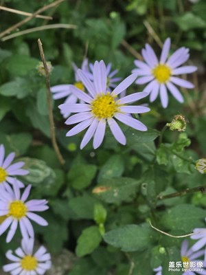 【鏡頭里的故事】城市小角落