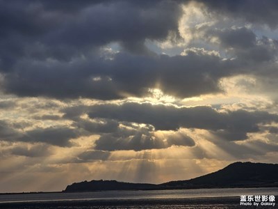 【鏡頭里的故事】天鵝之約