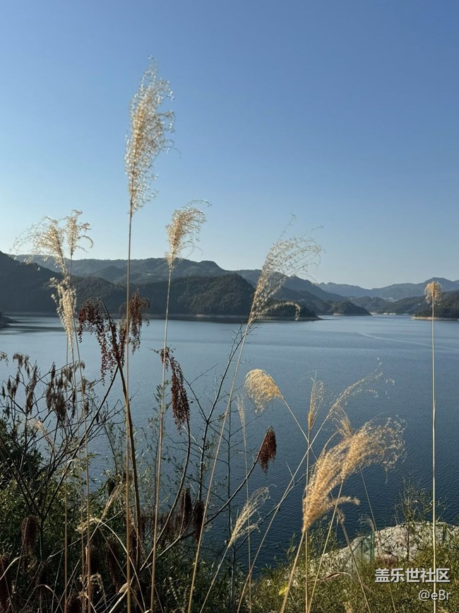 【折疊屏手機里的春夏秋冬】冬日江景