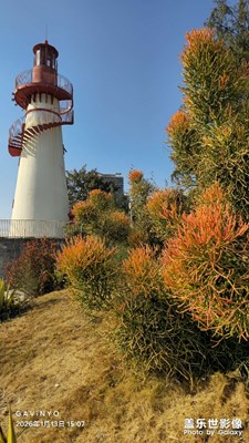 【鏡頭里的故事】天空湛藍(lán)心曠神怡