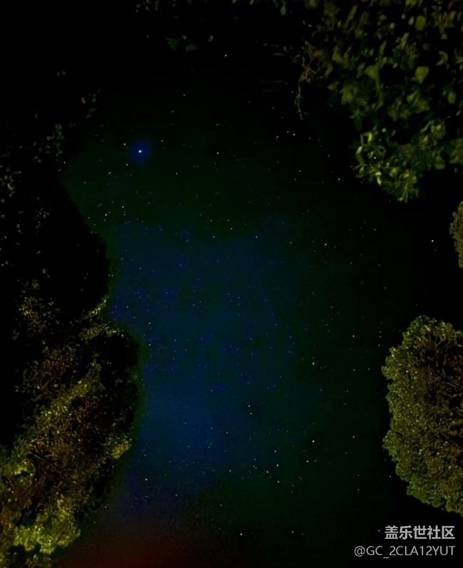 【折疊屏手機里的春夏秋冬】夏日夜晚