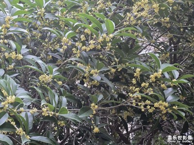 【鏡頭里的故事】拍下秋天