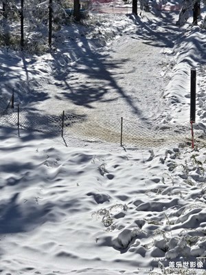 【鏡頭里的故事】雪景