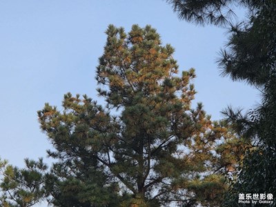 【鏡頭里的故事】戶外的陽光