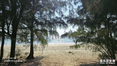 【鏡頭里的故事】闖進(jìn)鏡頭里的小鳥(niǎo)