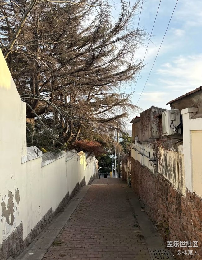 【冬日旅行色】老城區(qū)