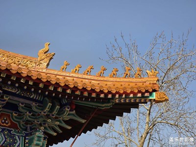 【身邊的小自然】+文廟