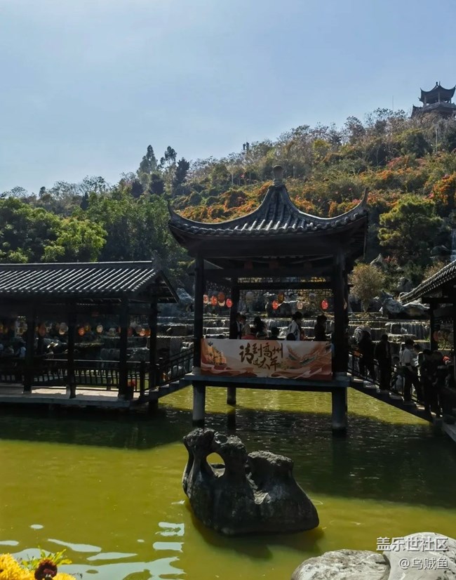 【冬日旅行色】鳳凰園