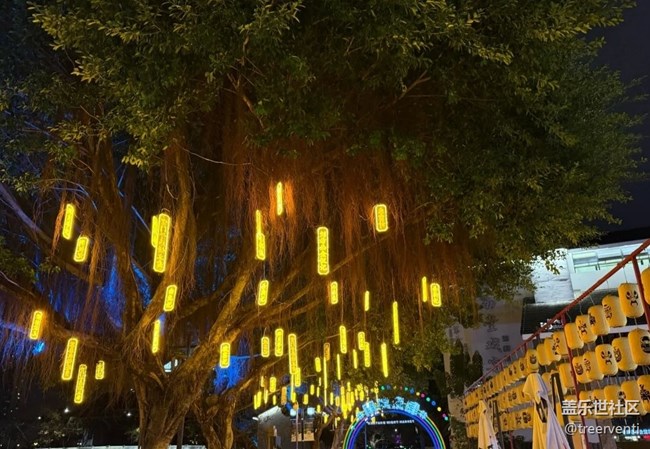 【冬日旅行色】印象南塘