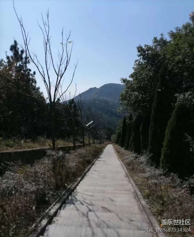 【冬日旅行色】山頂美景