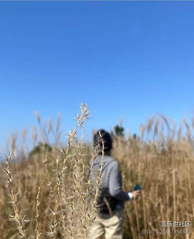 【冬日旅行色】山頂美景