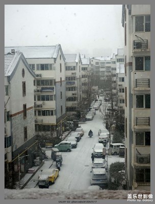 【身邊的小自然】+2026初雪落小城