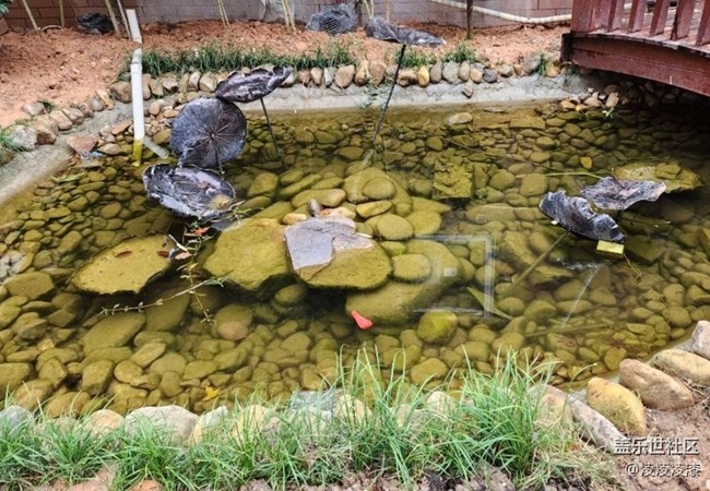 【冬日旅行色】閑逛