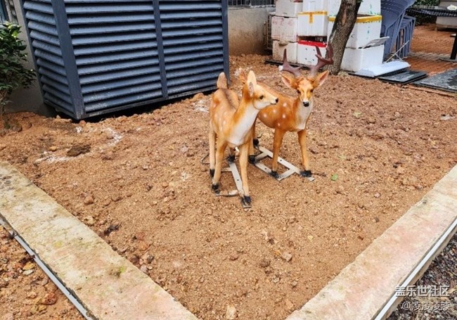【冬日旅行色】閑逛