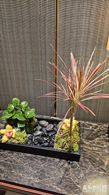 【身邊的小自然】隨手拍拍身邊的小自然