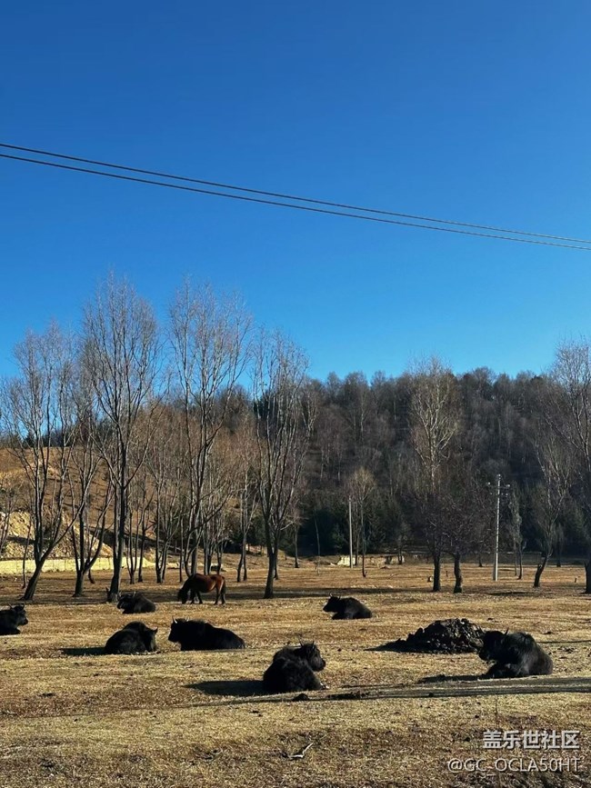 【冬日旅行色】再見獨(dú)克宗