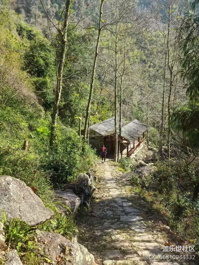 【冬日旅行色】擼山