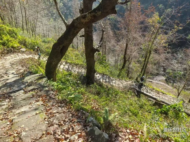 【冬日旅行色】擼山