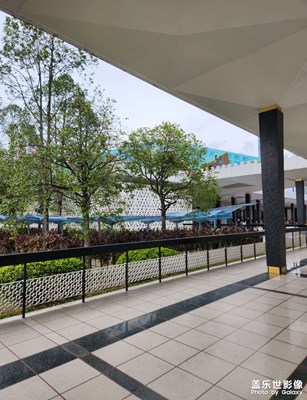 【身邊的小自然】建筑深林