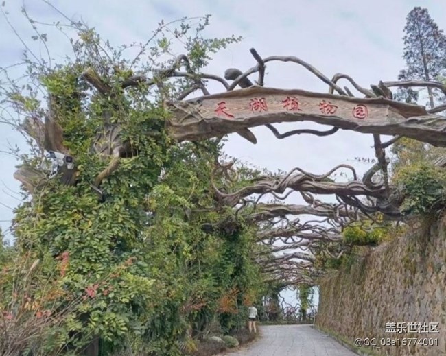 【冬日旅行色】植物園