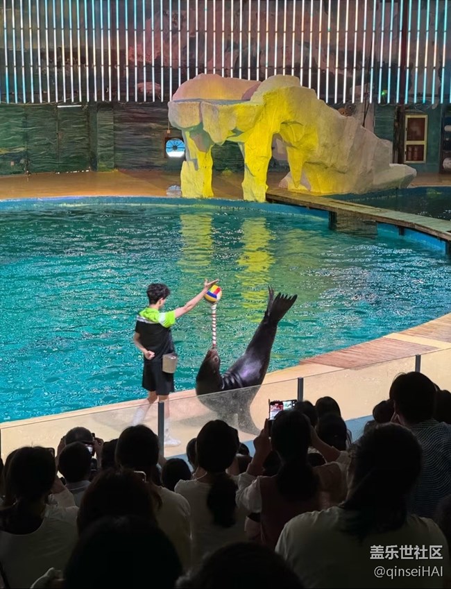 【冬日旅行色】海洋館