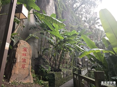 【身邊的小自然】冬日citywalk