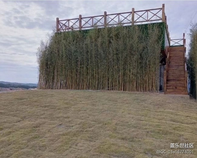 【冬日旅行色】植物園