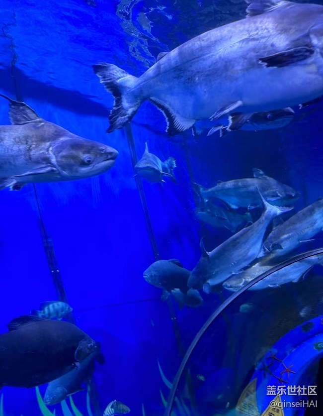 【冬日旅行色】海洋館