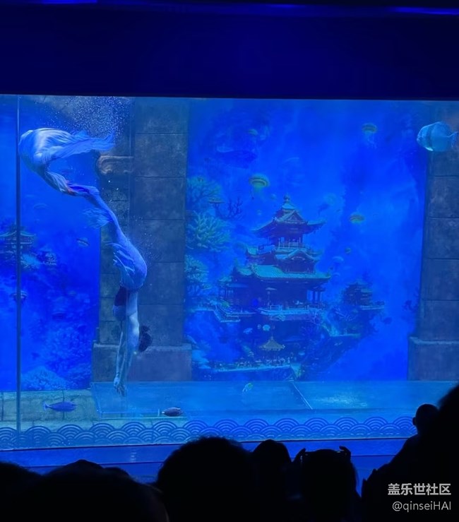 【冬日旅行色】海洋館