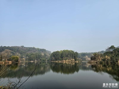 【身邊的小自然】+冬日徒步